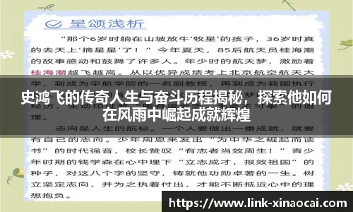 史鸿飞的传奇人生与奋斗历程揭秘，探索他如何在风雨中崛起成就辉煌